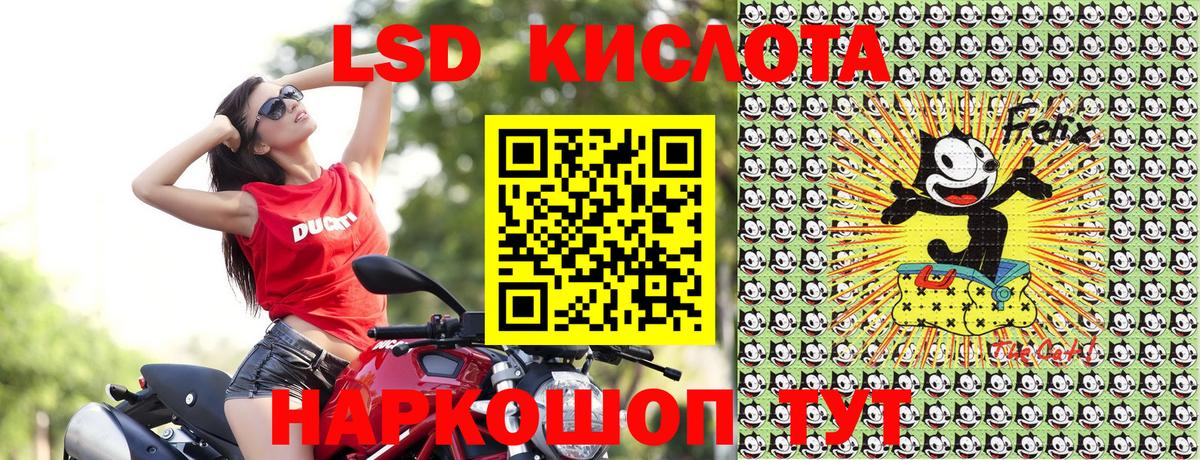 Марки 25I-NBOMe  Вход с VPN  Марки N-bome 1500мкг  наркошоп  Марки N-bome 1500мкг  Елабуга 