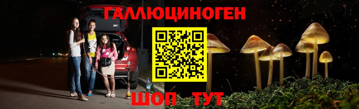 Елабуга  Галлюциногенные грибы MAGIC MUSHROOMS  Псилоцибиновые грибы Psilocybe  Вход с VPN 